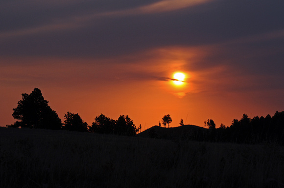 Sunrise in Custer Park